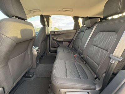 2026 Ford Escape Active®