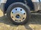2026 Ford Super Duty F-450 DRW F-450® King Ranch®