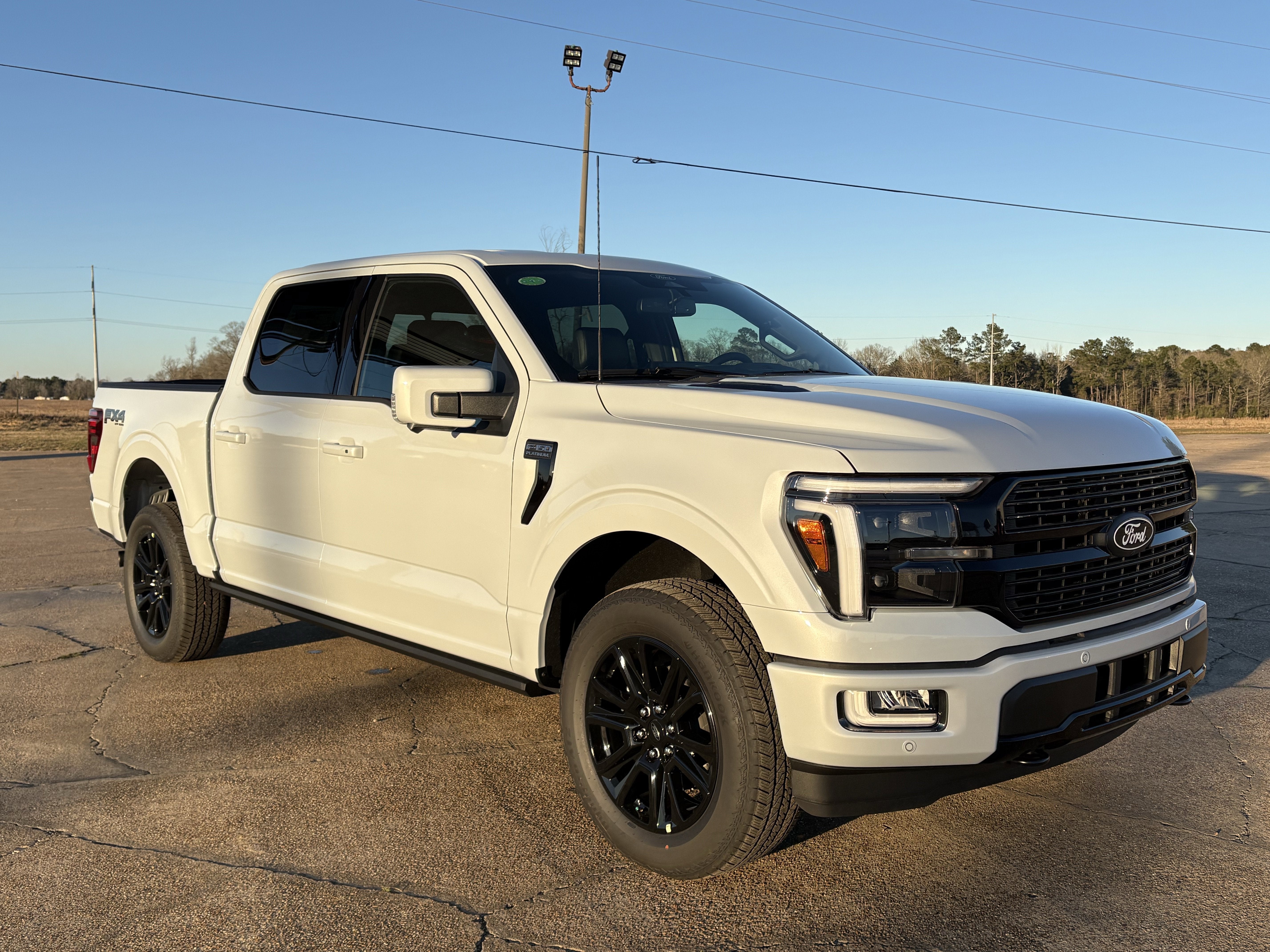 2025 Ford F-150 Platinum®