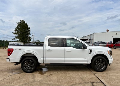 2023 Ford F-150 Base