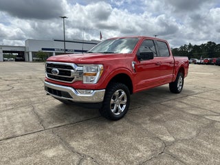 2023 Ford F-150 Base