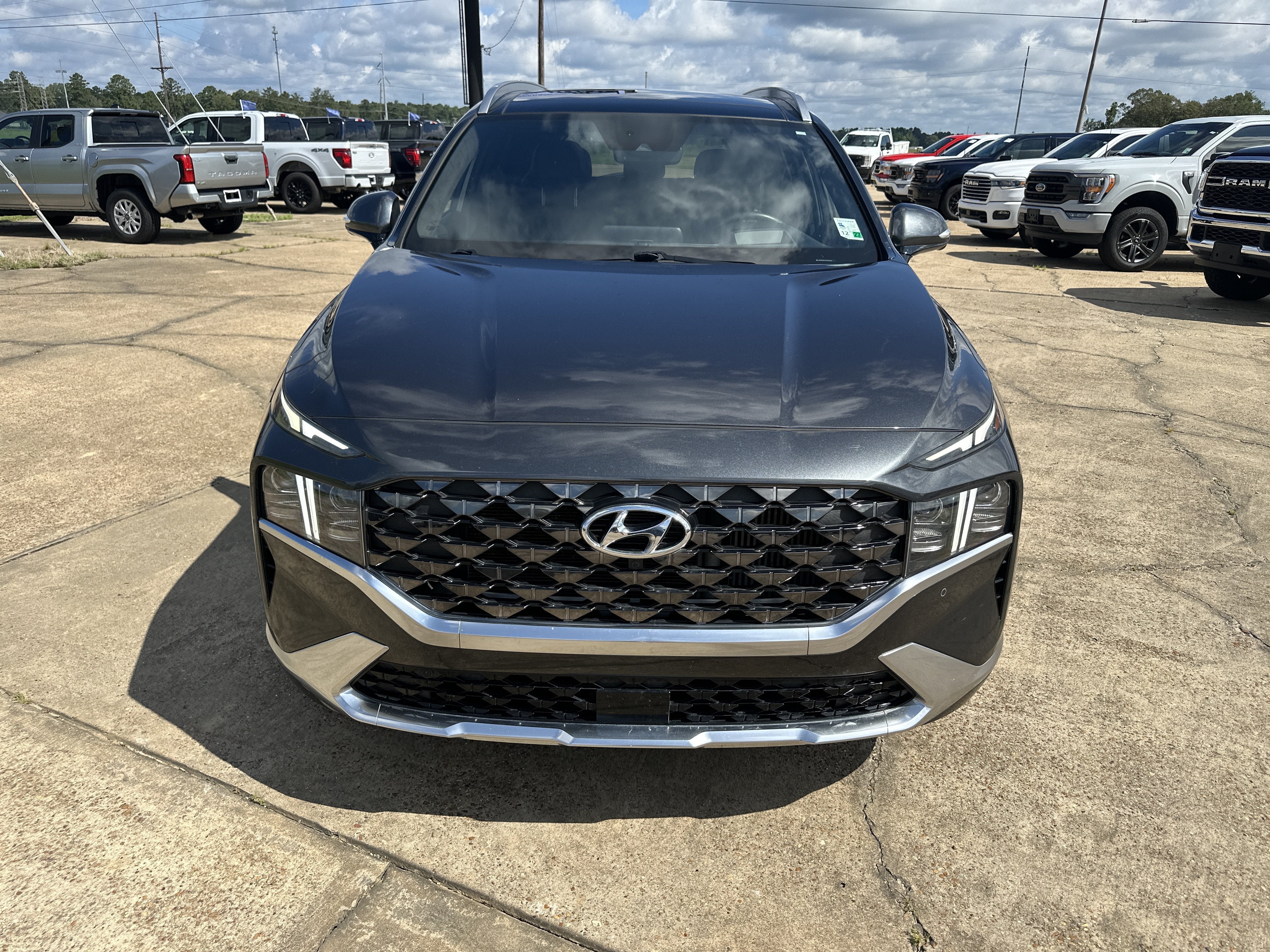2023 Hyundai Santa Fe Calligraphy